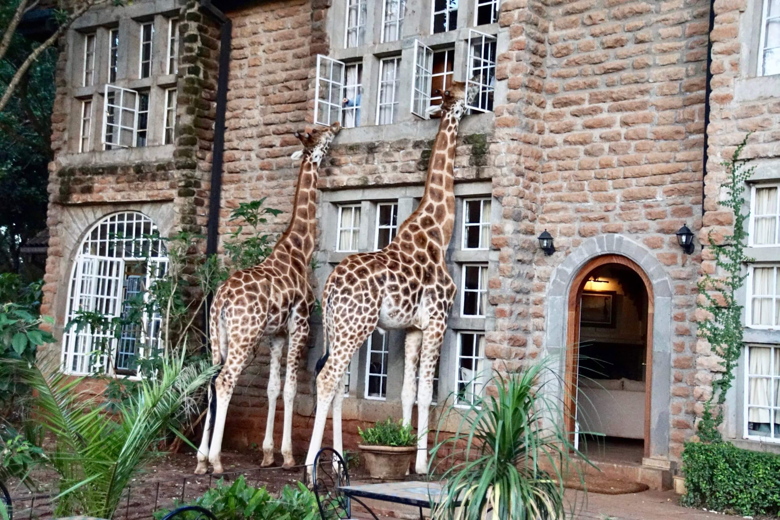 Giraffe Manor in Kenya