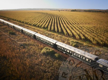 Rovos train traveling along crop