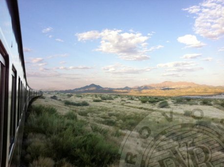 Rovos train travelling across peaceful meadow